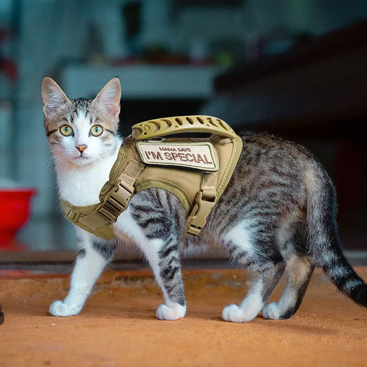 CatOps Military-Grade Tactical Harness